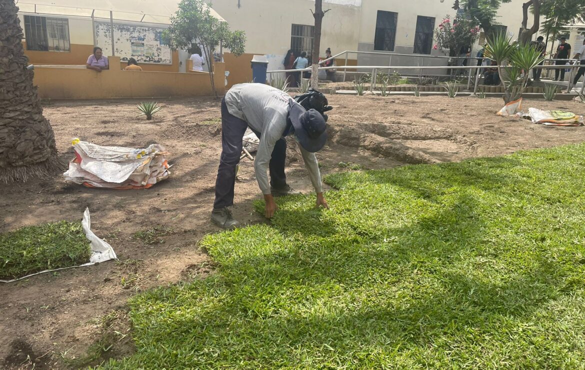 El Hospital Nacional Sergio E. Bernales realiza limpieza de tejados y recuperación de áreas verdes